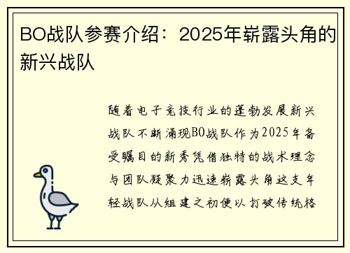BO战队参赛介绍：2025年崭露头角的新兴战队